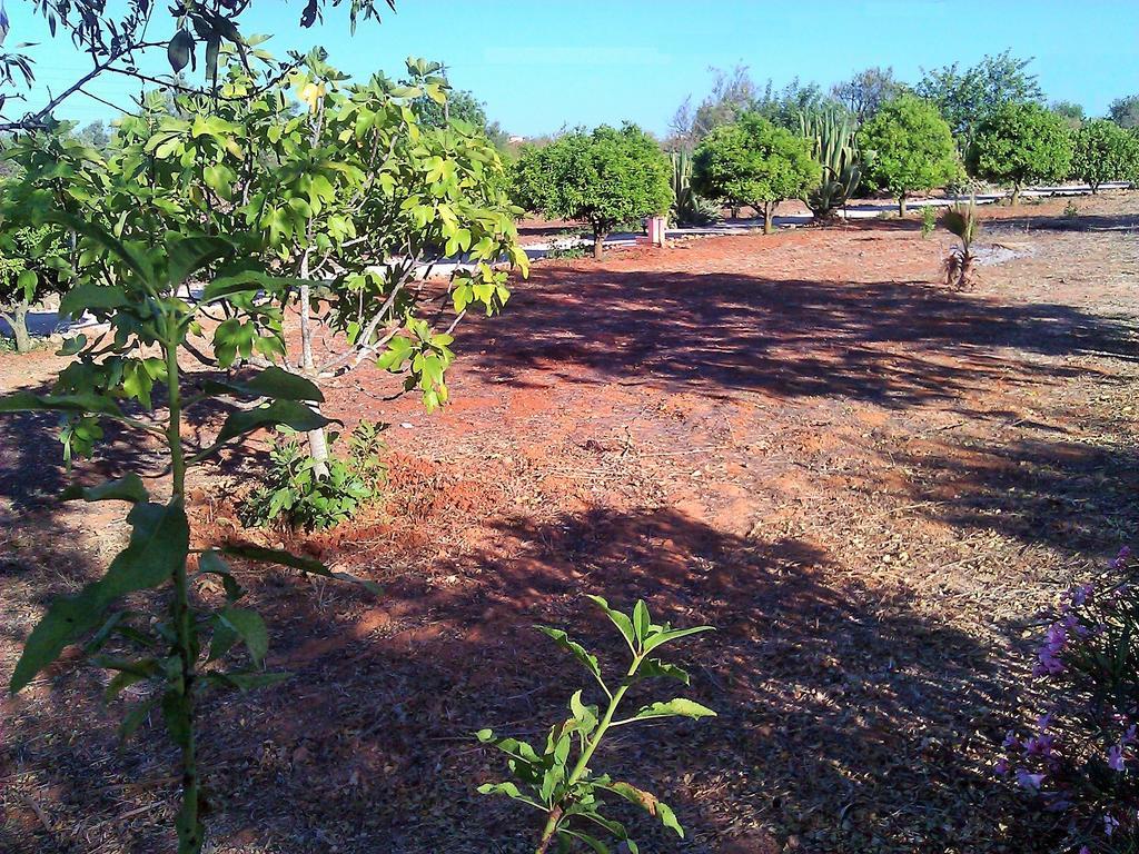 Villa Quinta Casalinho Albufeira Esterno foto